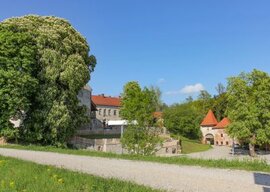 Burg Frauenstein 2013