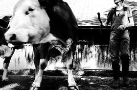 Claus Schindler