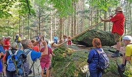 Walter Zauner Sommerwanderung 2020